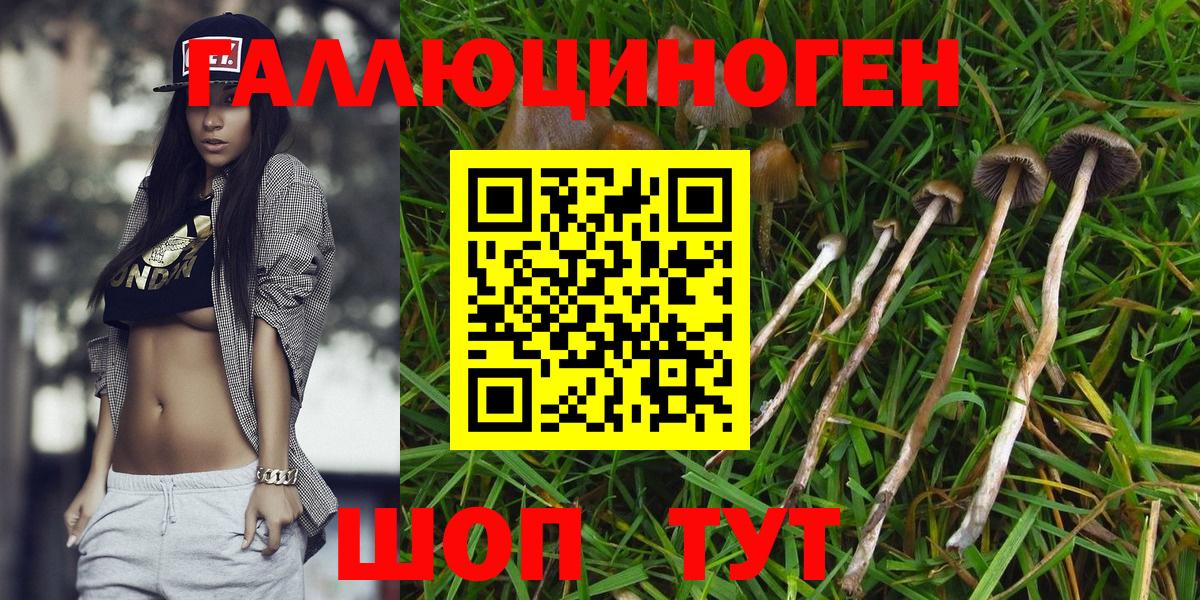 Коломна  Галлюциногенные грибы MAGIC MUSHROOMS  Галлюциногенные грибы прущие грибы  Вход с VPN 